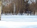 Hřiště leden 2010 Hřiště leden 2010