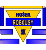 Logo Robousy ok